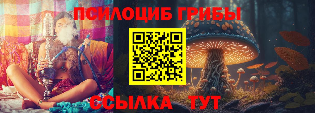 Псилоцибиновые грибы мухоморы Камышин