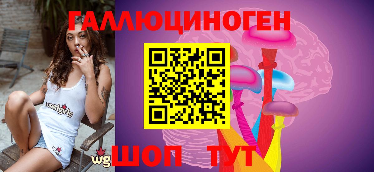 Камышин  Псилоцибиновые грибы Psilocybe  Вход с VPN  Псилоцибиновые грибы Cubensis 
